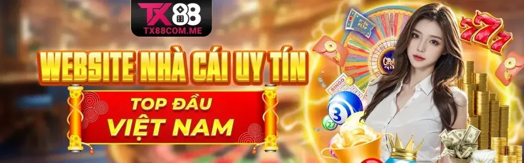 Sân vận động thể thao sôi động của 567tv